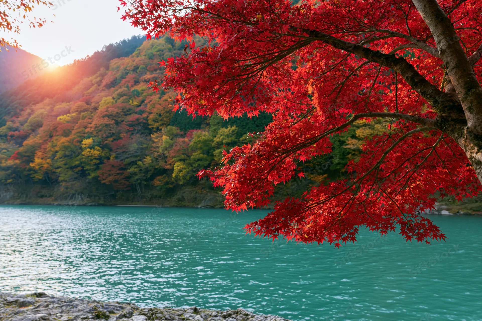 Red maple branches overhanging a calm turquoise lake at sunset with forested mountains in the background
