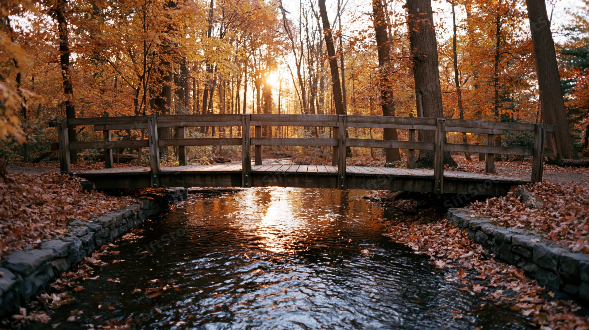 Wooden footbridge over a shallow stream in a forest at sunset during autumn
