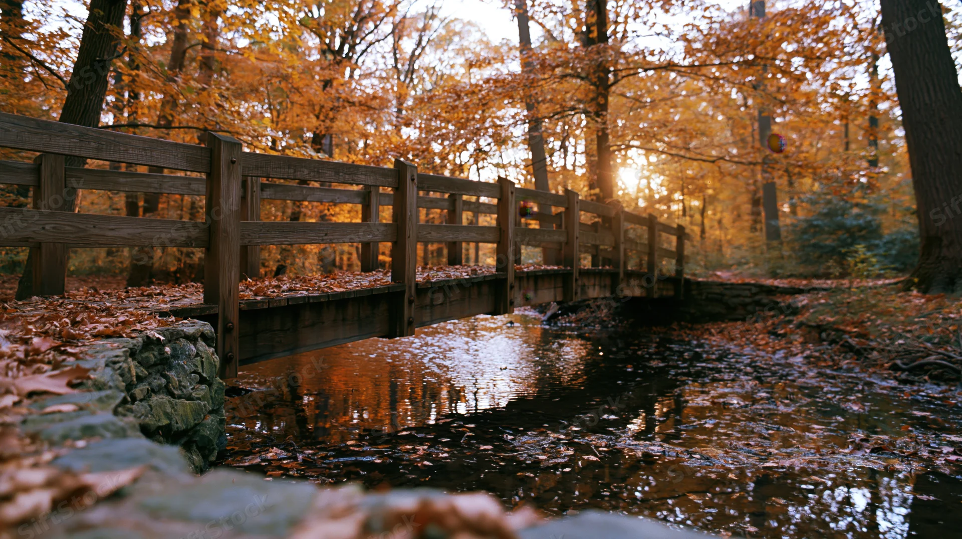 Wooden footbridge over a shallow stream in a forest with autumn foliage and sunlight filtering through trees