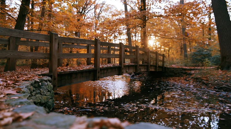 Wooden footbridge over a shallow stream in a forest with autumn foliage and sunlight filtering through trees
