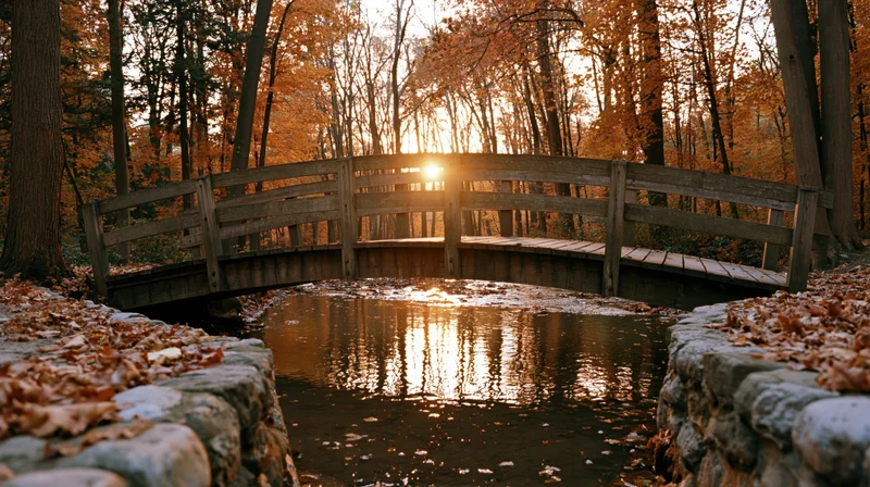 Wooden footbridge arching over a shallow stream in a forest at sunset during autumn