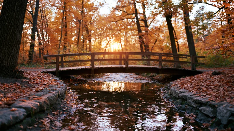 Wooden footbridge arching over a shallow stream in a forest at sunset during autumn