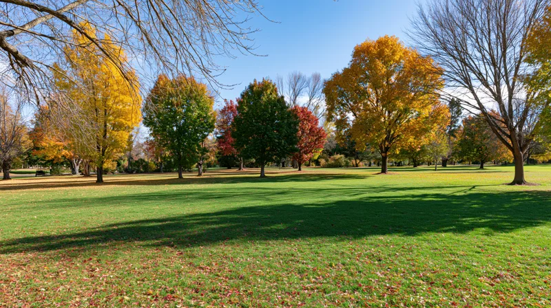 Well-maintained public park in peak autumn mixed deciduous trees