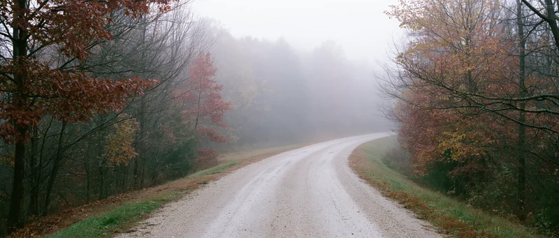 Wet gravel road curving into foggy autumn forest
