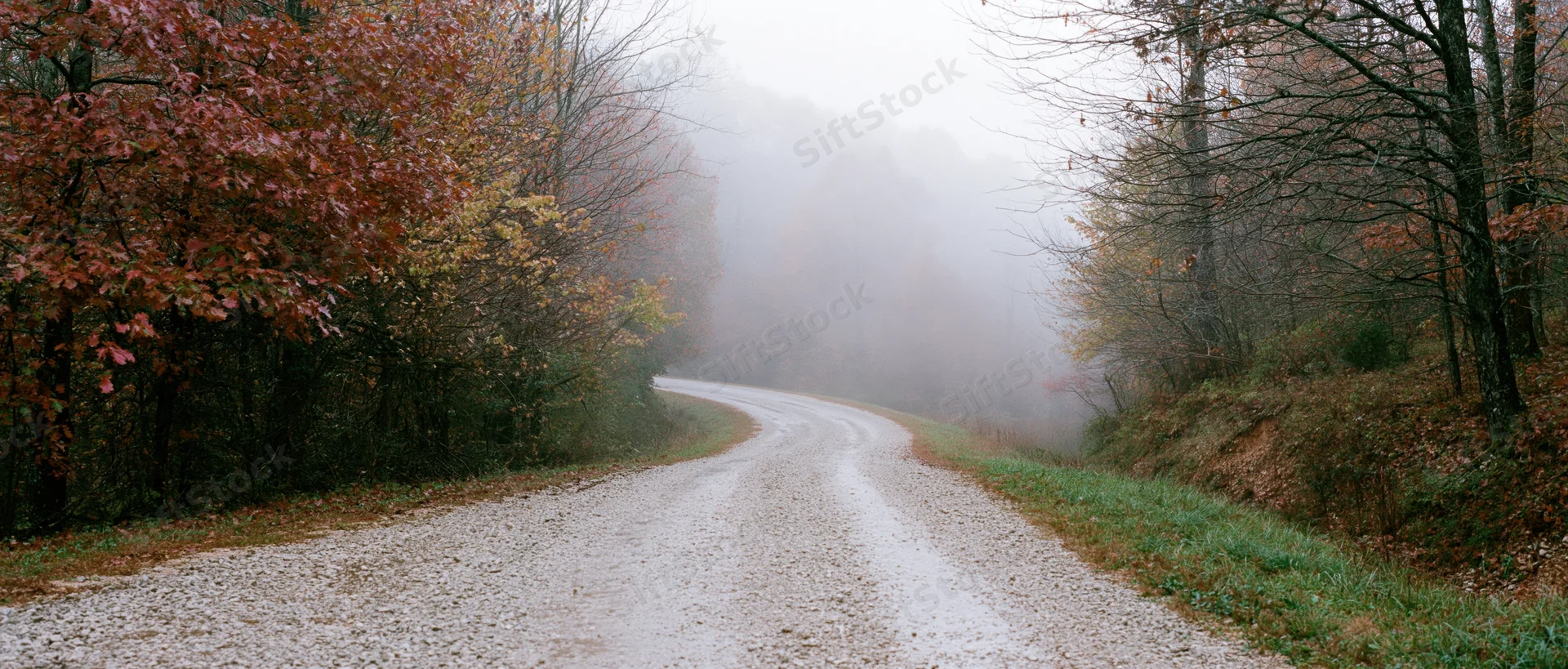 Wet gravel road curving into foggy autumn forest