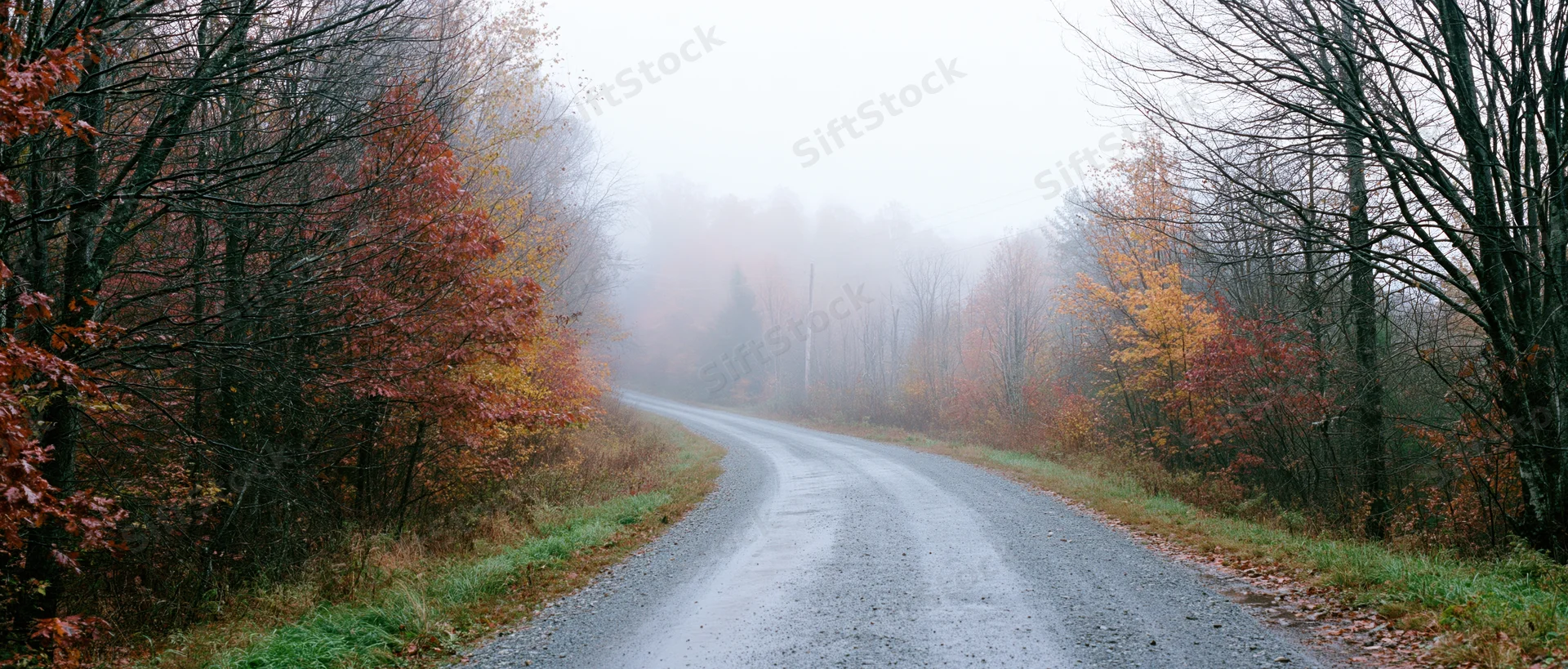 Wet gravel road curving into foggy autumn forest