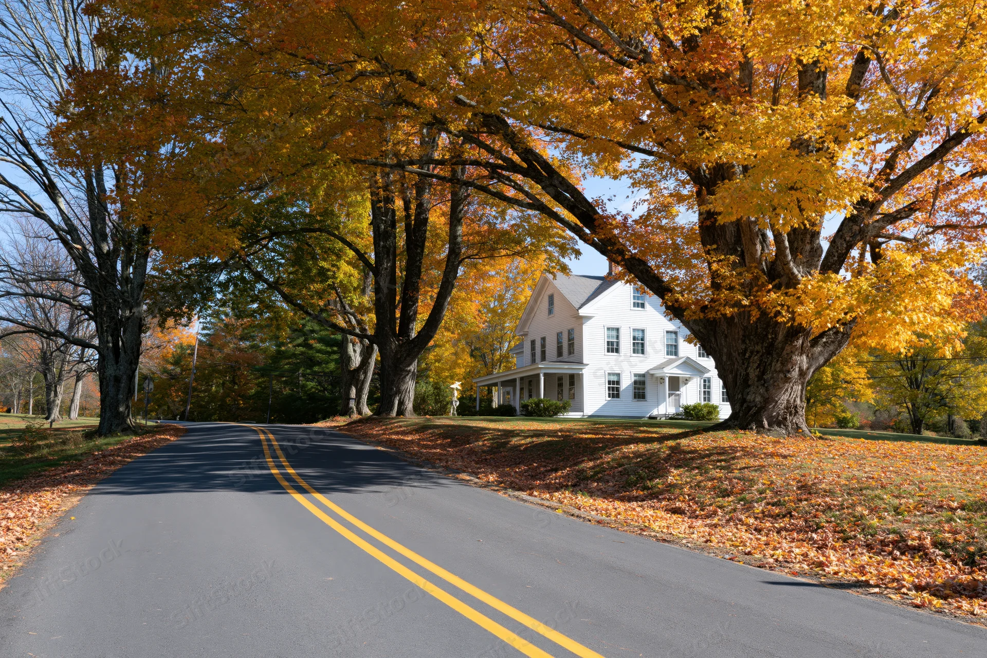 White farmhouse nestled among large autumn trees along a winding road