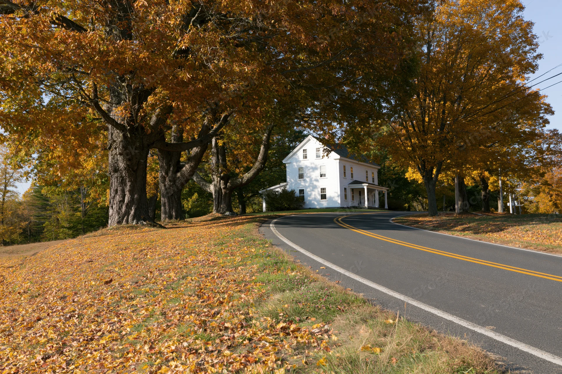 White two-story farmhouse nestled among large autumn trees beside a winding road