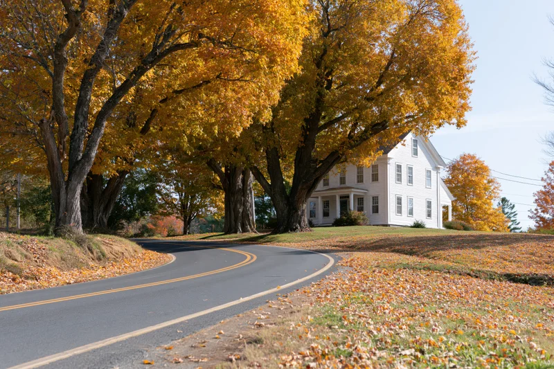 White two-story farmhouse nestled among large autumn trees beside a winding road