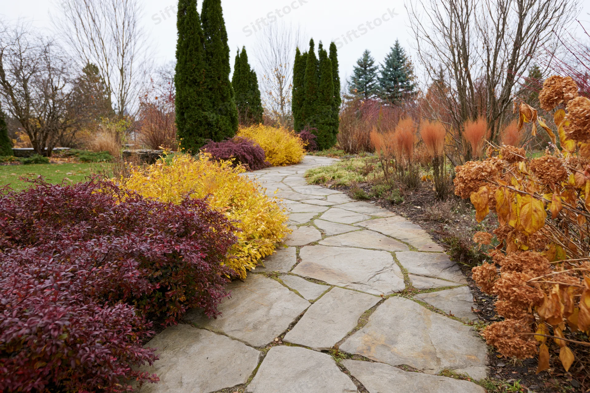 Winding flagstone path through colorful autumn garden with shrubs and trees