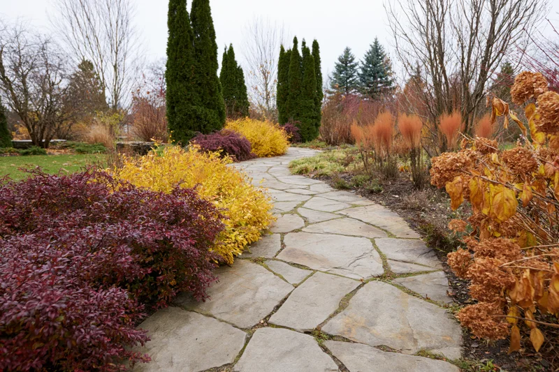 Winding flagstone path through colorful autumn garden with shrubs and trees