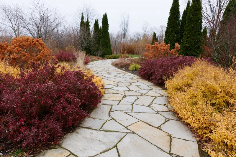 Winding flagstone path through colorful autumn shrubs in a garden