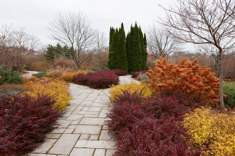 Winding flagstone path through colorful shrubs and bare trees in a late-autumn garden
