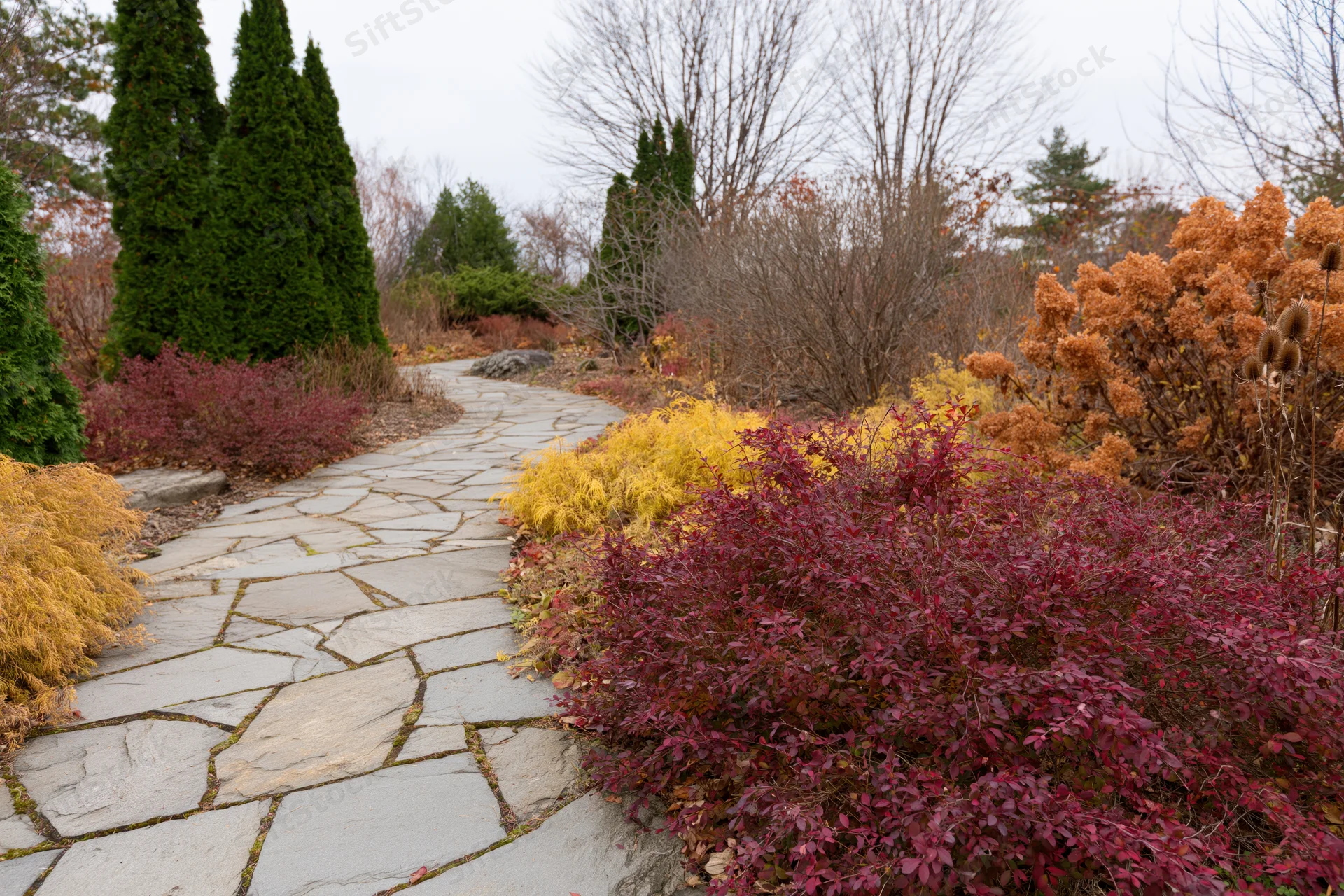 Winding flagstone path through colorful autumn shrubs in a garden