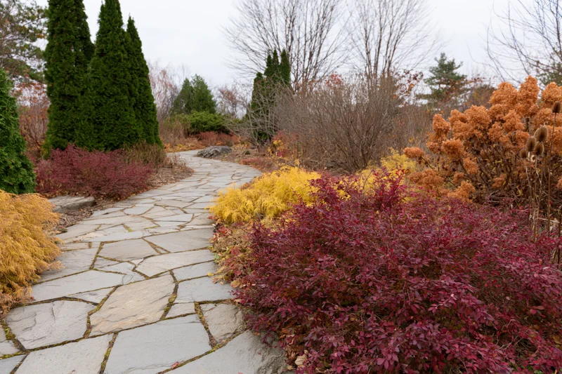 Winding flagstone path through colorful autumn shrubs in a garden