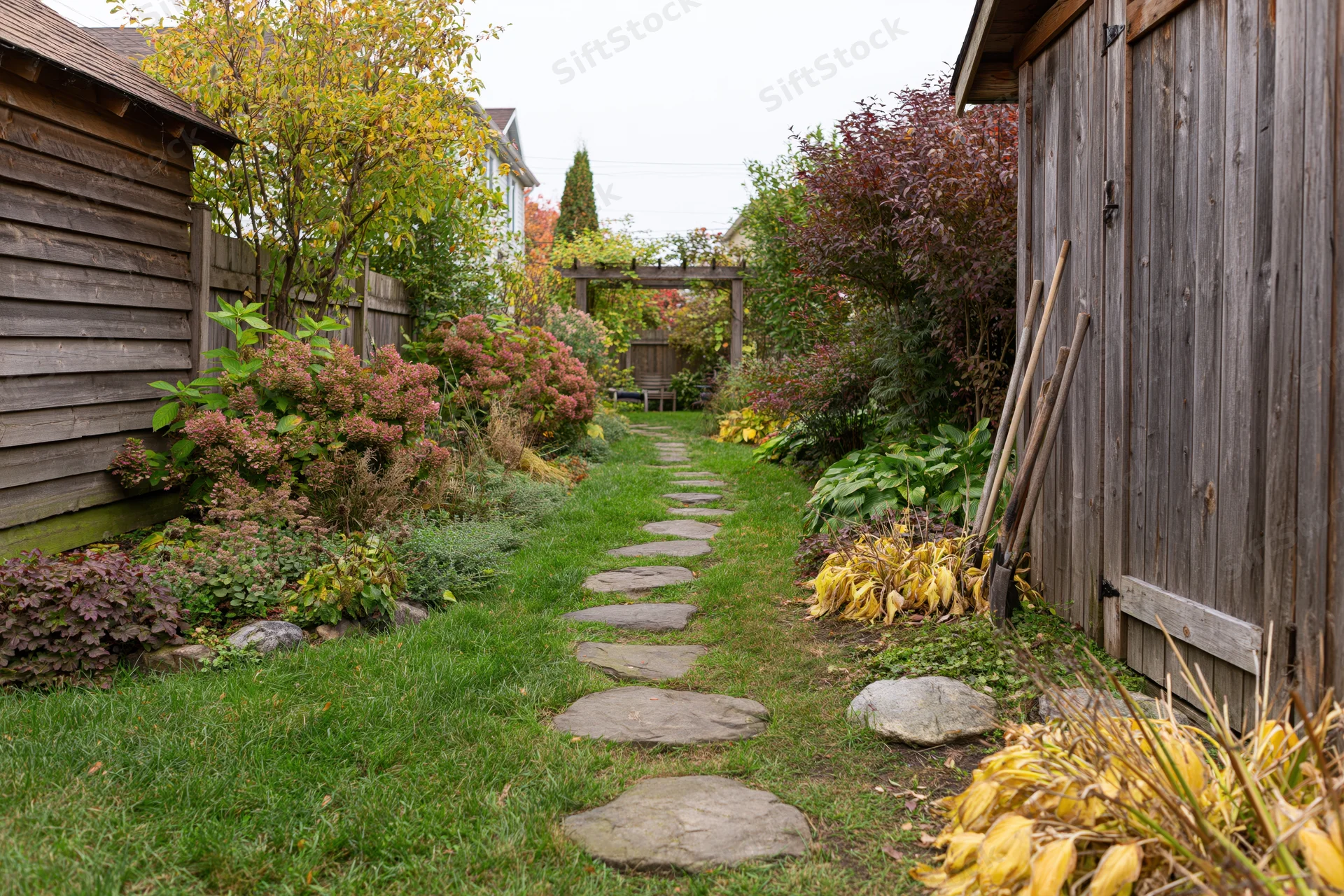 Stone stepping path through lush autumn garden bordered by wooden shed and shrubs