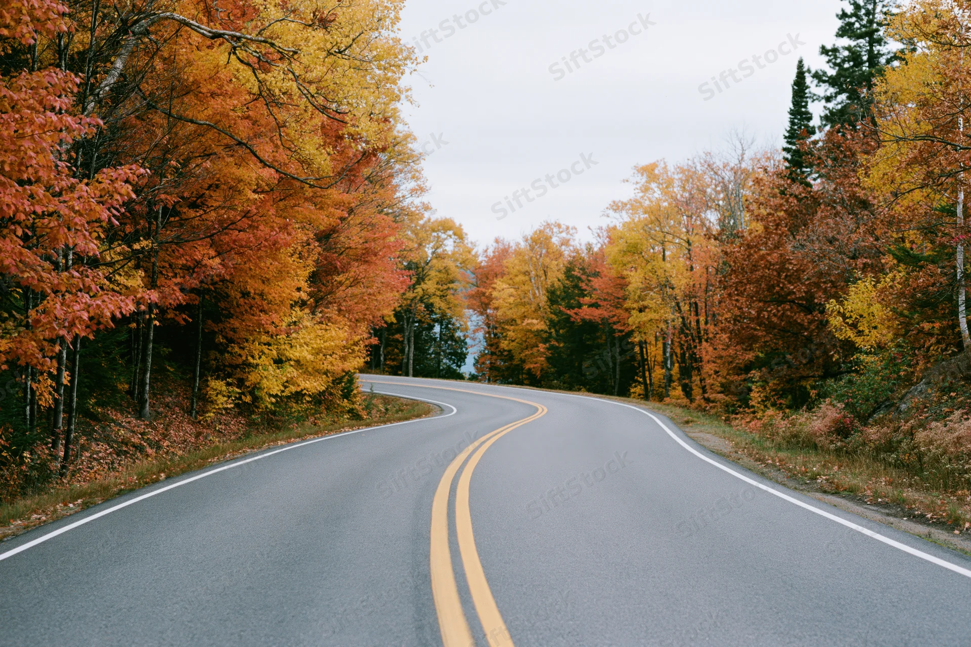 Winding asphalt road through autumn forest with colorful foliage on both sides