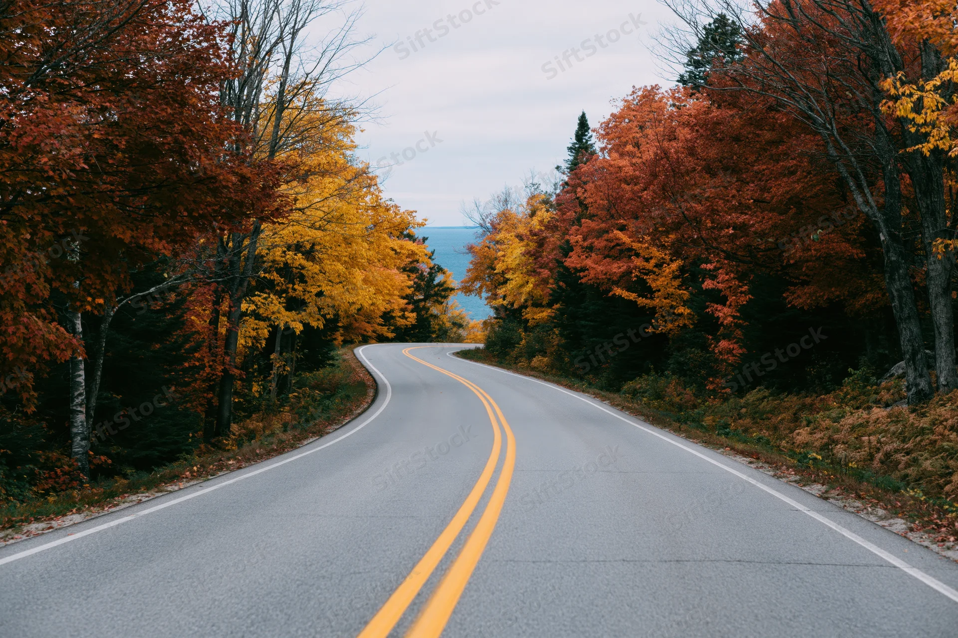 Winding asphalt road with double yellow center line through autumn forest leading to distant water