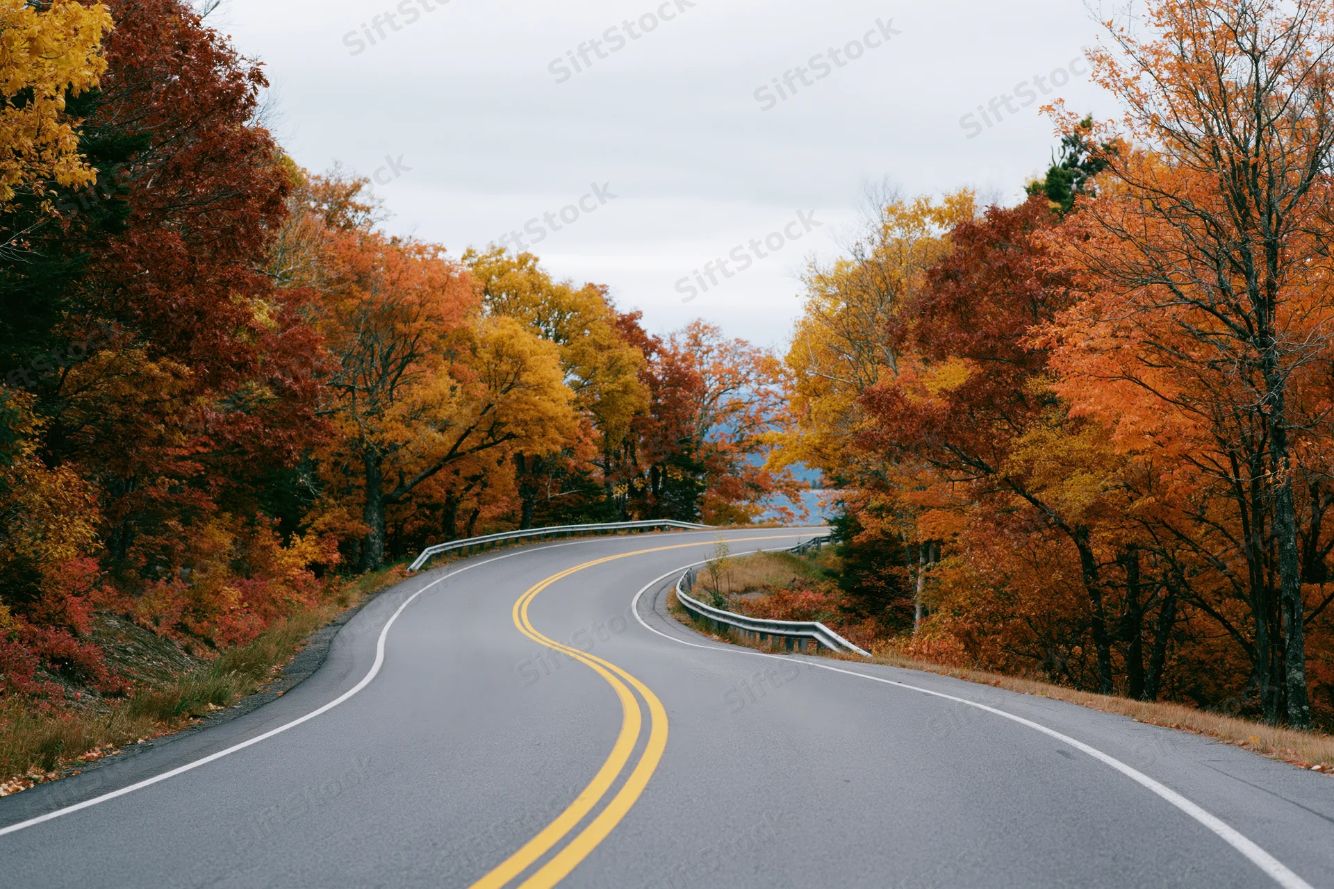 Winding asphalt road curving through autumn forest with colorful foliage on both sides