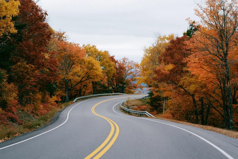 Winding asphalt road curving through autumn forest with colorful foliage on both sides