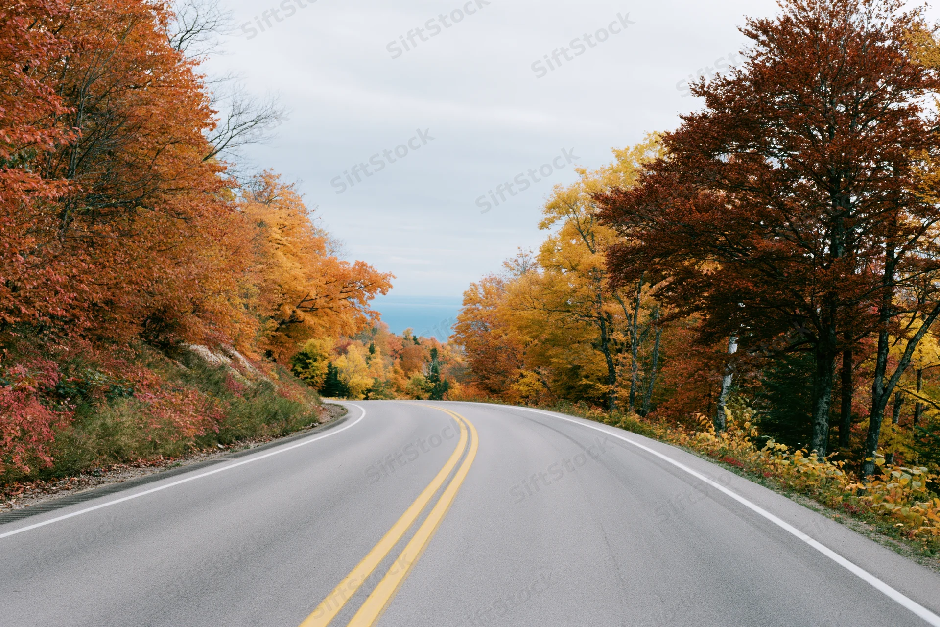 Winding asphalt road lined with autumn trees curving through forested countryside