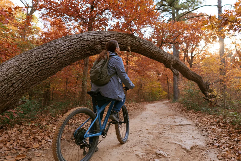 Woman riding blue mountain bike on forest dirt path under arched tree in autumn
