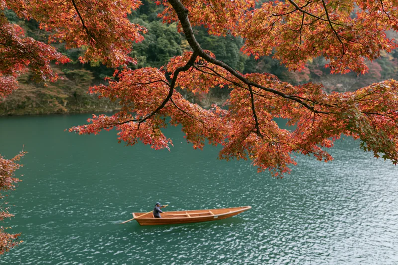 A man rowing a wooden flat-bottomed boat on a calm river beneath autumn maple trees