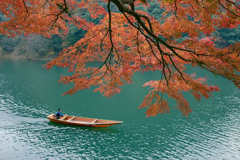 Wooden flat-bottomed boat with a lone boatman rowing on a calm river beneath autumn maple trees