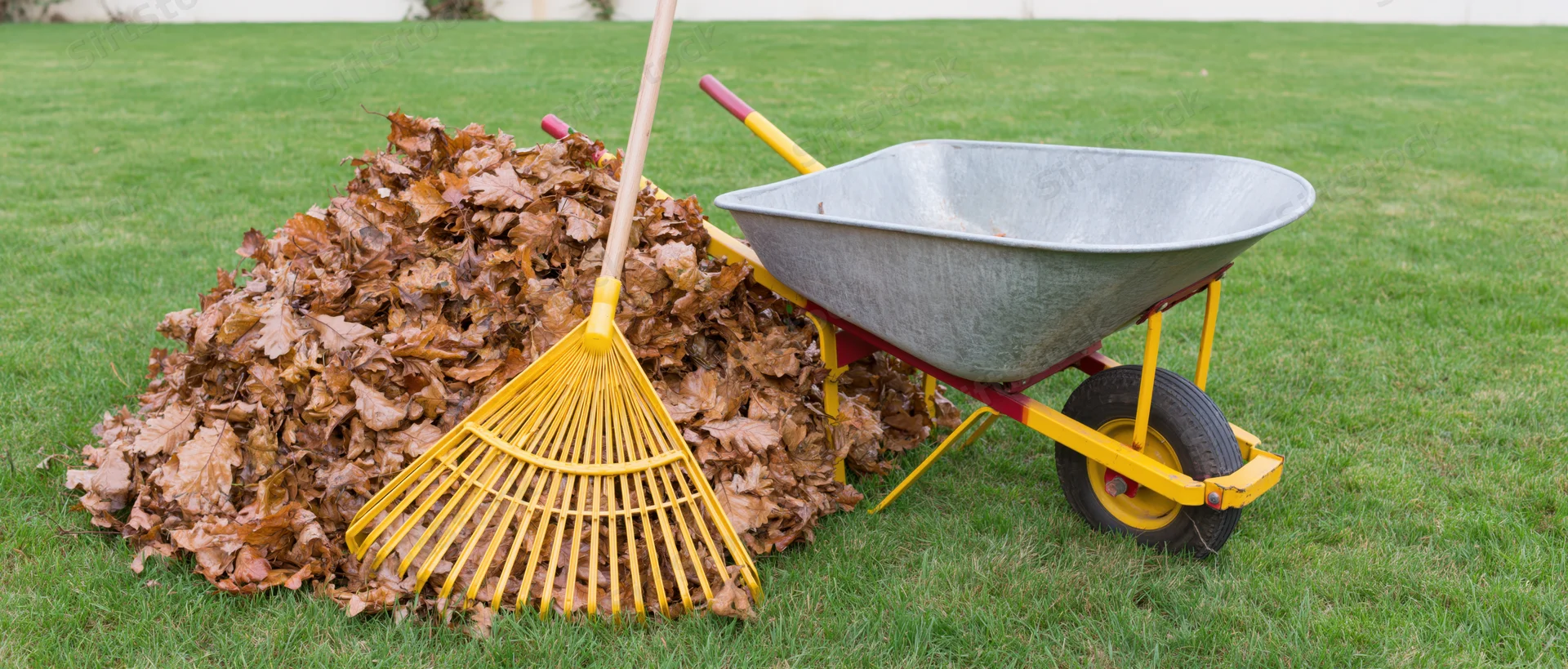 Yellow rake and metal wheelbarrow beside a pile of fallen leaves on a green lawn