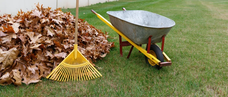 Yellow plastic rake and metal wheelbarrow beside a pile of fallen leaves on a lawn