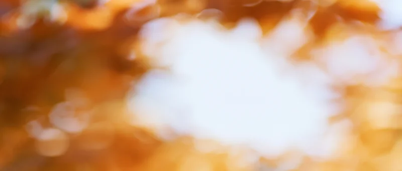 Abstract bokeh background of out-of-focus autumn leaves in warm fall colors