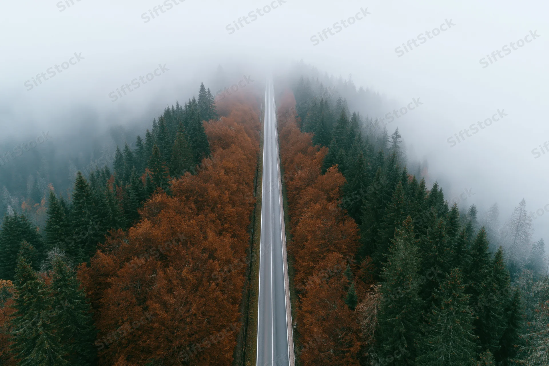 Aerial view of a narrow two-lane road cutting through a foggy autumn forest with pine and orange deciduous trees