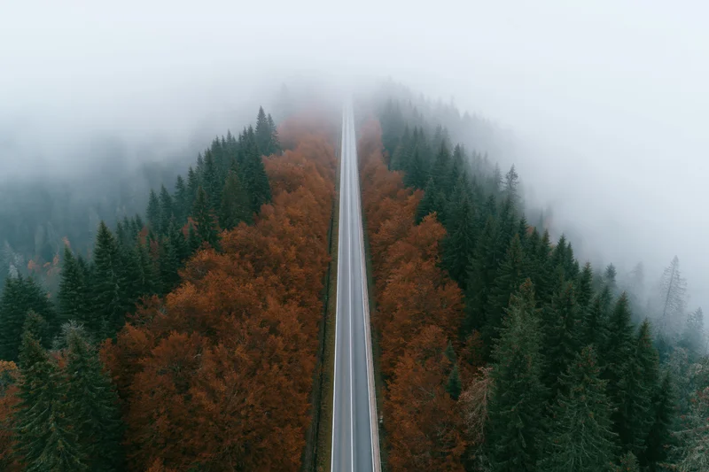 Aerial view of a narrow two-lane road cutting through a foggy autumn forest with pine and orange deciduous trees