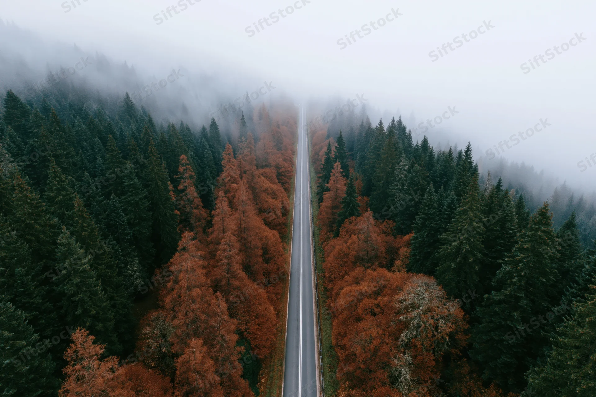 Aerial view of a narrow two-lane road cutting through a foggy forest in autumn
