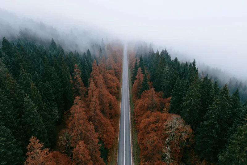 Aerial view of a narrow two-lane road cutting through a foggy forest in autumn