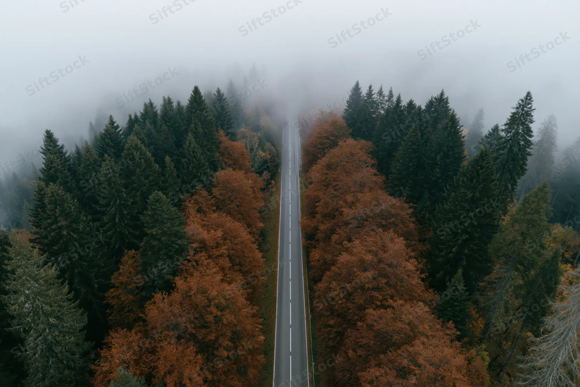 Aerial view of a narrow two-lane road cutting through a foggy autumn forest with evergreen and deciduous trees