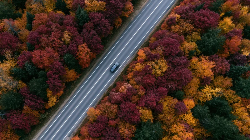 Aerial view of a car driving on a two-lane road through a colorful autumn forest