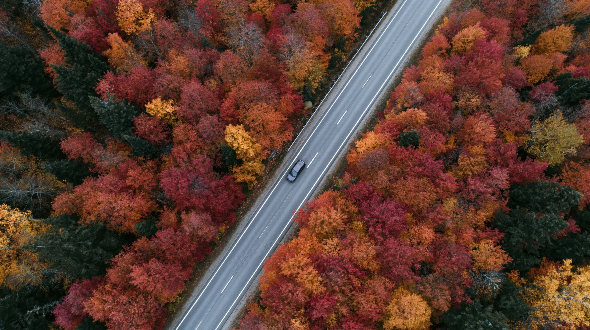 Aerial view of a two-lane road cutting through a dense autumn forest with colorful foliage