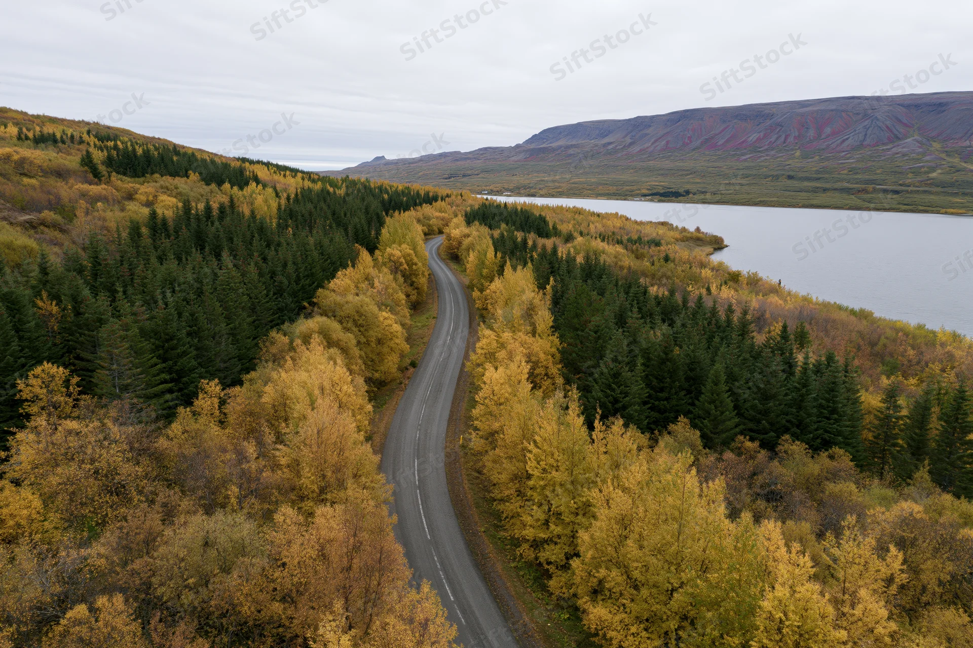 Aerial view of a winding road through autumn forest beside a lake in iceland