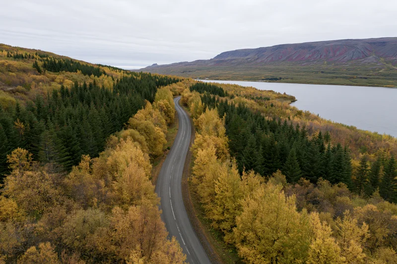 Aerial view of a winding road through autumn forest beside a lake in iceland