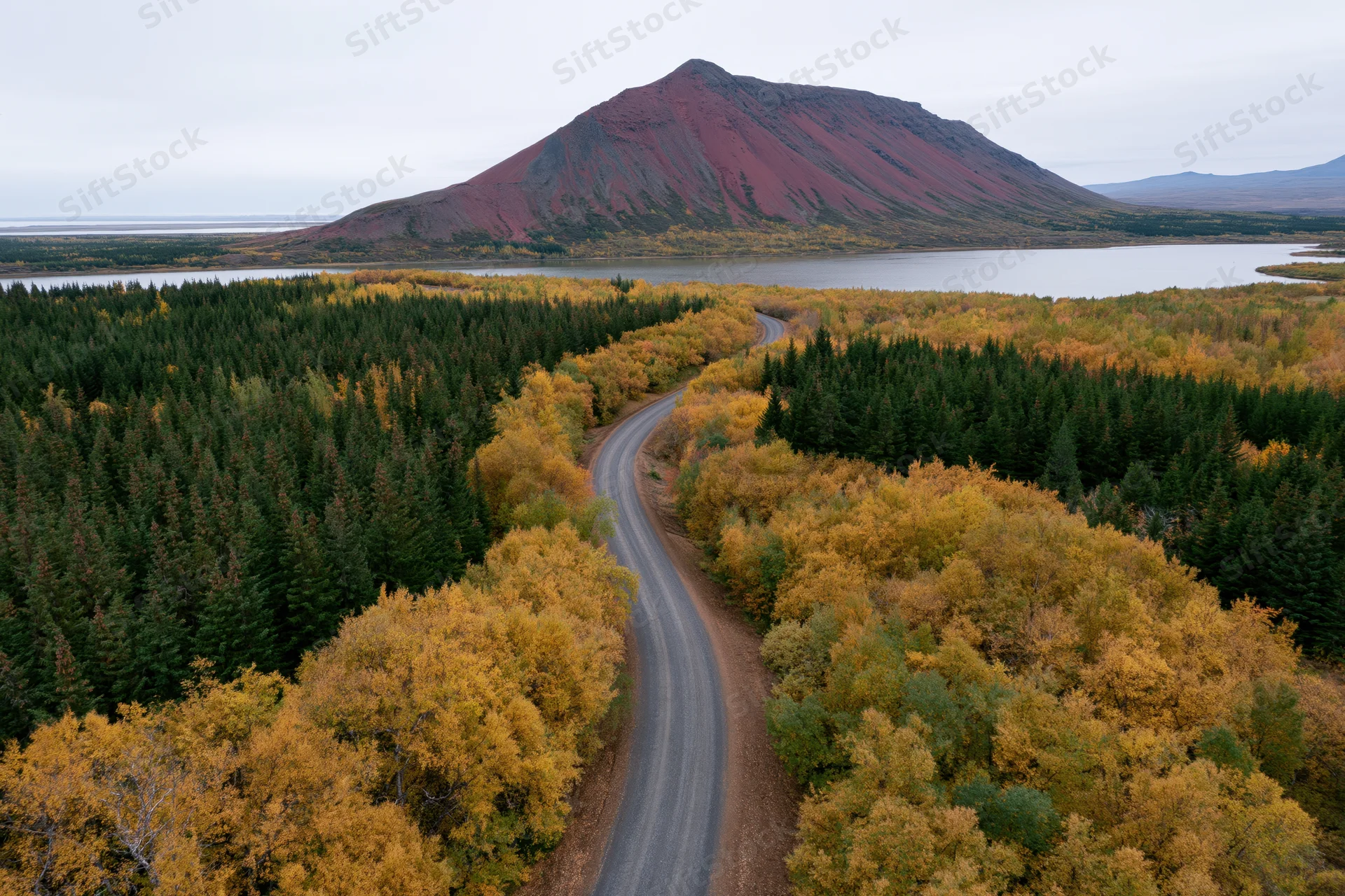 Aerial drone view of a winding road through autumn forest and volcanic mountain in iceland