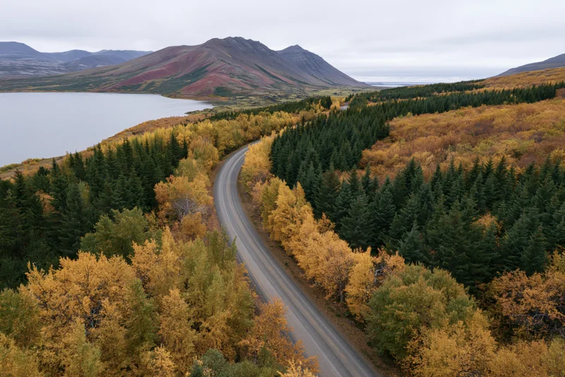 Aerial view of a winding road through autumn forest and mountains in iceland