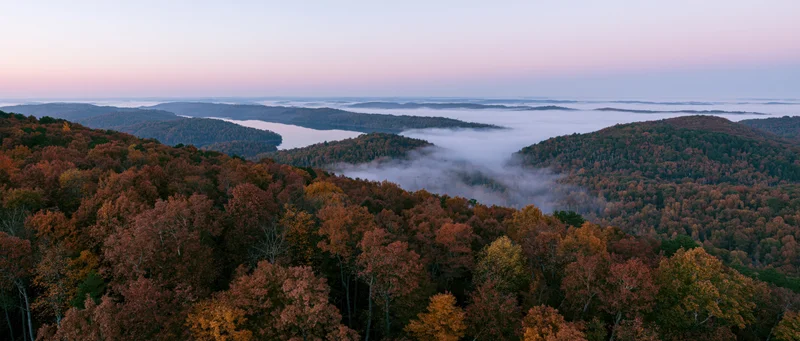 Erial panoramic view of autumn forest canopy in foreground mist