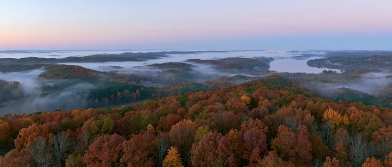 Aerial view of autumn forest canopy with misty valleys and colorful foliage at dawn