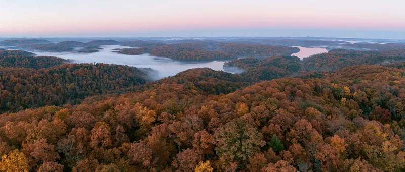 Aerial view of autumn forest canopy with misty valleys and river at twilight