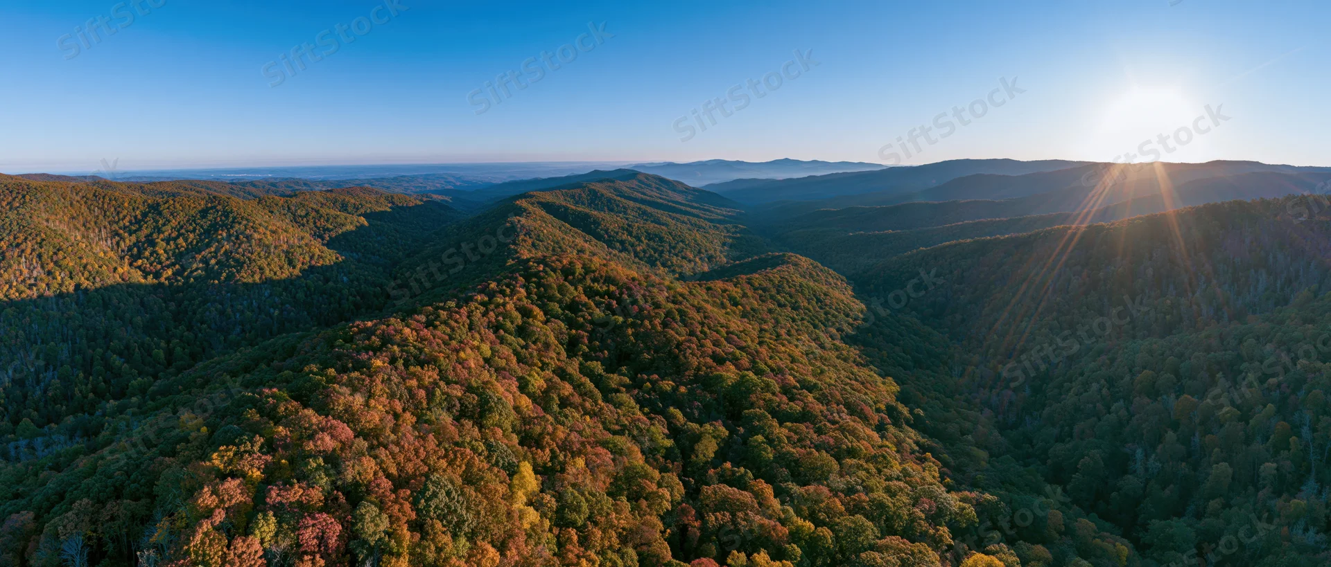 Aerial panoramic view of dense mixed forest in peak autumn with sun rising over mountains