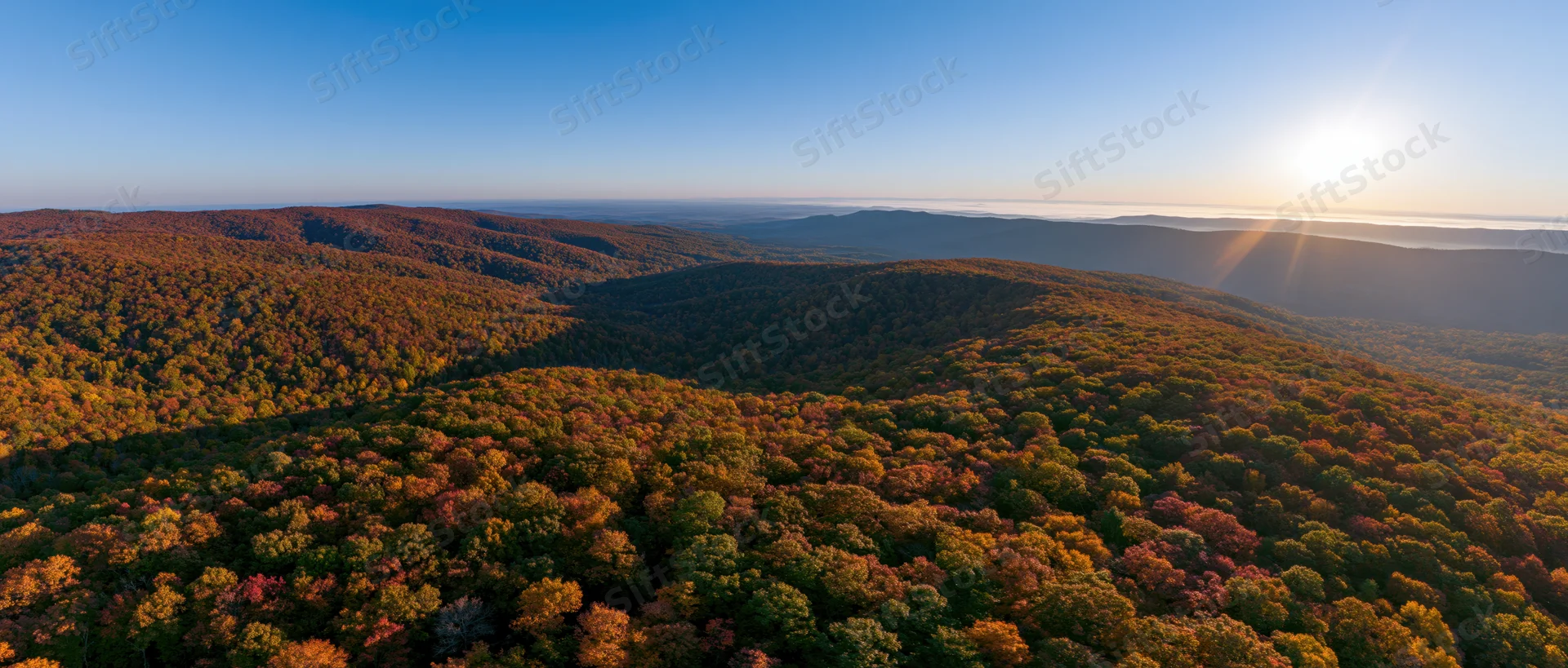 Aerial panoramic view of dense mixed forest in peak autumn colors at sunset