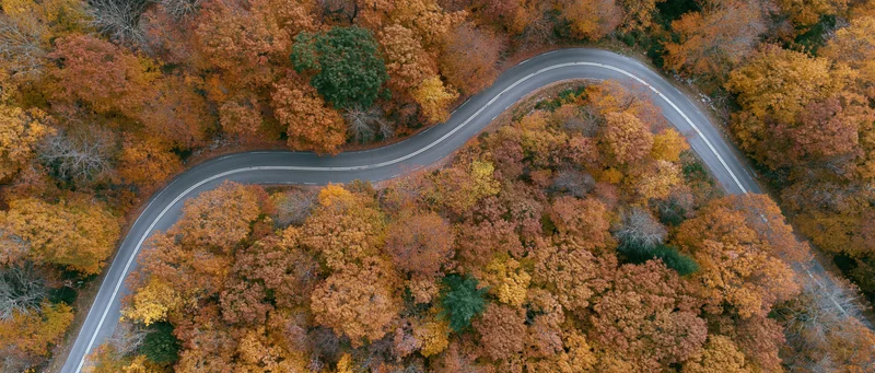 Winding road through autumn forest from aerial drone view