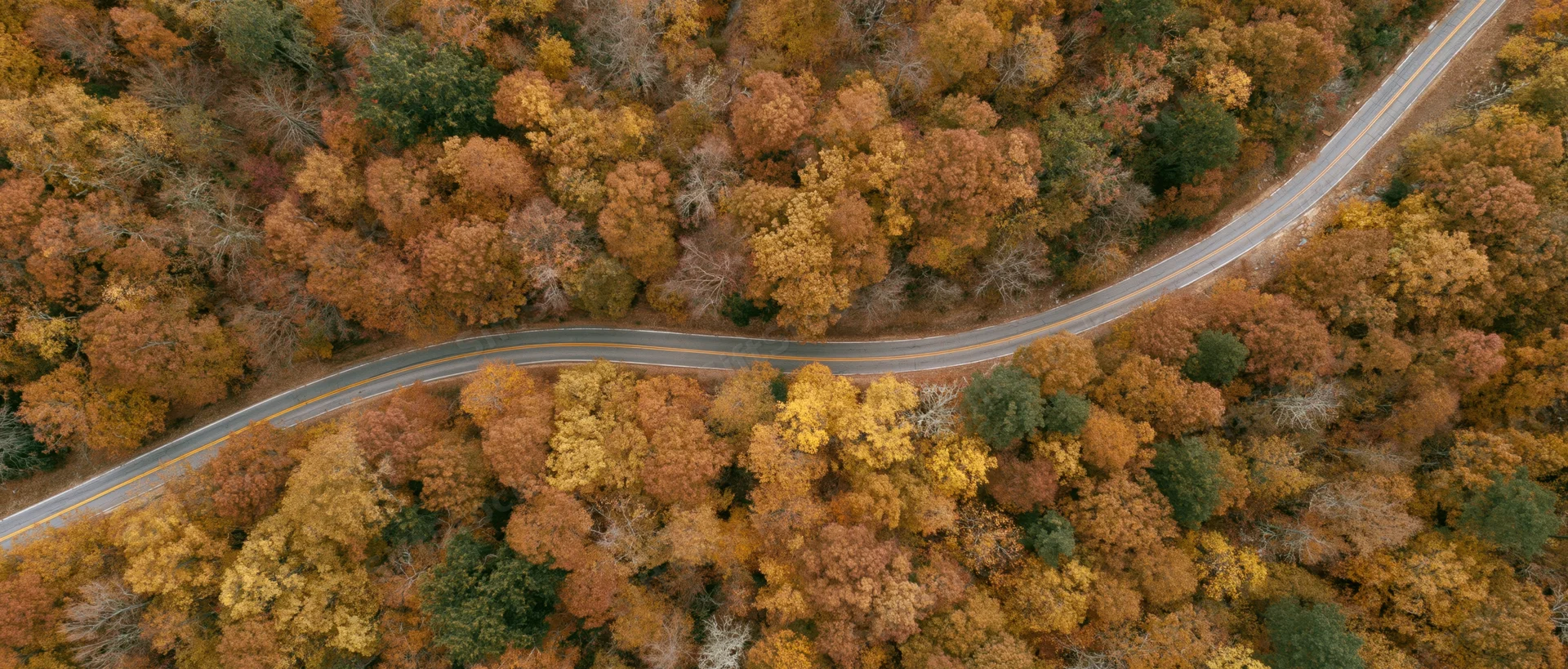 Winding road through autumn forest from aerial top-down view