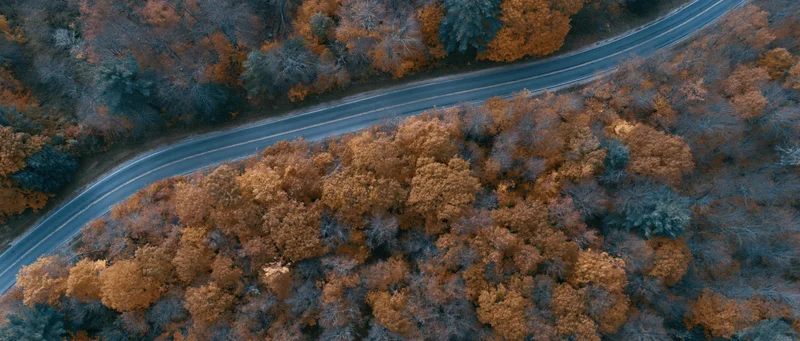 Aerial top-down view of a winding road through autumn forest